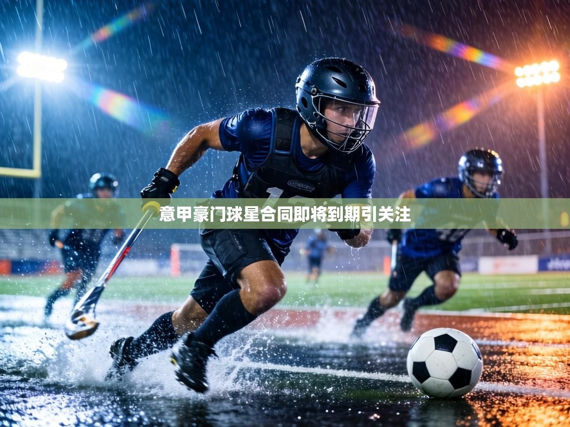 意甲豪门球星合同即将到期引关注